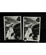 Marilyn Monroe Photocard Postcards 1959 Some Like It Hot  Lot of 2 - $10.77