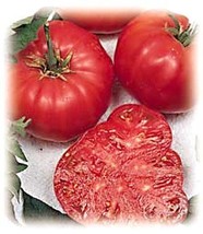 Tomatoes, Beefsteak Tomato 25 Seeds - Impressive!,Organic, Non-GMO, USA Product. - £1.98 GBP