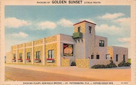 St Petersburg~Golden Sunset Citrus Fruits Packing PLANT-SEMINOLE~1948 Postcard - £8.59 GBP