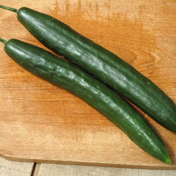 25 Seeds Taurus Cucumbers Pickling Fast US Shipping - $13.37 CAD