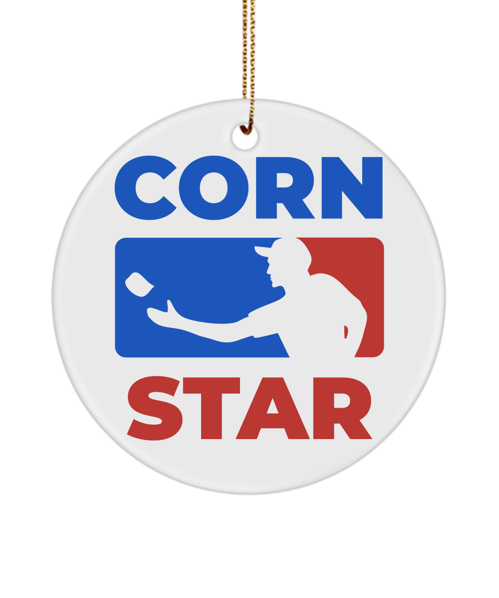 Funny Corn Star Ornament Cornhole Trophy Award Outdoor game - $14.95