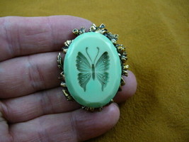 (cm94-23) BUTTERFLY green butterflies CAMEO pin Pendant brooch - £26.14 GBP