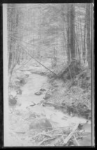 Vintage Real Photo RPPC Postcard Frozen Winter Woodland Forest Creek - £10.28 GBP