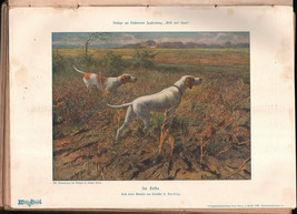 1909 Wild Hund Hunting Journal Magazine German Illustrated Vintage Periodical - £118.19 GBP