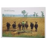 Postcard Amish Country Mules Pulling Disk Agriculture Chrome Unposted - $4.92