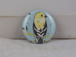 Fashion Pin - Canary Graphic - Celluloid Pin  - £12.06 GBP