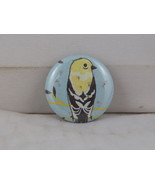Fashion Pin - Canary Graphic - Celluloid Pin  - £11.98 GBP