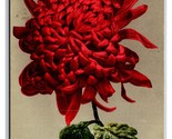 Rosso Crisantemi Fiore Fiori Unp DB Cartolina H29 - $3.36