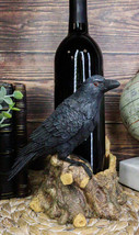 Macabre Potion Raven Crow Nevermore Perching On Tree Stump Wine Bottle H... - £28.76 GBP