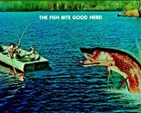 Comic Exaggeration The Fish Bite Good Here  UNP Chrome Postcard Unused - $2.92