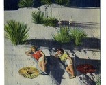 Bathing Beauties Linen Postcard Great White Sands National Monument New ... - £9.55 GBP