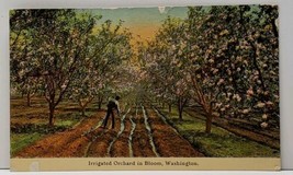 Washington Irrigated Orchard in Bloom 1913 Seattle to Indianapolis Postc... - $3.99