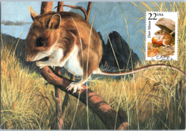 Painting of Connecticut Deer Mouse Postcard Posted 1987 - £7.00 GBP