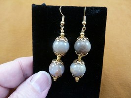 DP1-47-5 12mm REAL DINOSAUR POOP bead EARRINGS dangle Utah Dino Coprolit... - $431.54 MXN