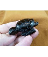 Y-TUR-SE-735 Black onyx SEA TURTLE gemstone figurine love little baby tu... - €21,44 EUR