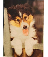 Vtg Hallmark PetLove Greeting Card Blank For Any Occasion Shetland Sheep... - €9,70 EUR
