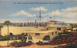 Marineland Florida World&#39;s Only Oc EAN Arium At Marine Studios Postcard 1940s - £6.79 GBP