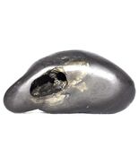 Laxmi Bhu Varaha Shaligram - Gandaki River Nepal - $271.91 CAD