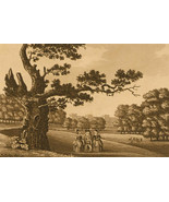 Samuel Ireland (1744-1800) - 1977 Aquatint, Hernes Oak, Windsor Park - £30.39 GBP