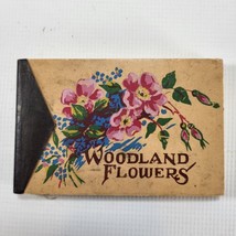 Woodland Flowers A Guide to Wildflowers Vintage T. H. Everett Whitman Publishing - £18.91 GBP