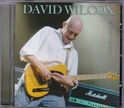 SS David Wilcox - Boy In The Boat - David Wilcox CD - £13.42 GBP