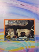 1993 Topps Jurassic Park Trading Card | A Hungry Stare #35 - $0.99