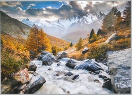 Heye Alexander Von Humboldt Mountain Stream 1000 pc Jigsaw Puzzle Landscape  - $22.76