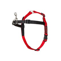 HALTI HARNESS BLACK/RED small  - $29.00
