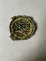 Insect Life Merit Badge Type E Boy Scouts BSA - £5.55 GBP