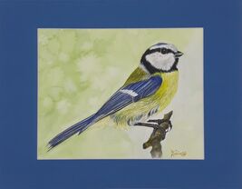 Artwork by Robin, "Blue Tit" 11" x 14" Matted Signed Watercolor Painting - $110.00
