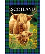 Highland Coo Scottish 100% Cotton Tea Towel - £8.39 GBP