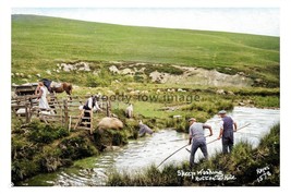 ptc5971 - Yorks - Early view, Sheep river washing at Hutton-le-Hole - pr... - $3.00