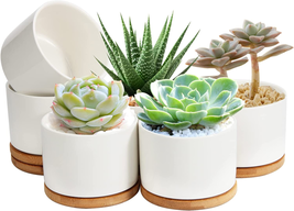 Ceramic Succulent Pots 4 Inch with Drainage Hole &amp; Bamboo Tray, Pack of 6 White - £27.50 GBP