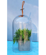 Decorative Clear Glass Apothecary Cloche Bell Jar Centerpiece Dome With ... - $51.32 CAD
