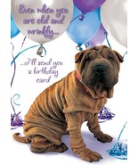 Even When You Are Old and Wrinkly - Birthday Greeting Card - 00773 - $2.79