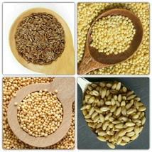 Ancient Grain Collection #2 Flax / Millet / Amaranth / Farro Seeds Grow ... - $8.49