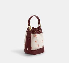 NWT Coach Dempsey Drawstring Bucket Bag 15 With Bow Print CN707 - £123.52 GBP