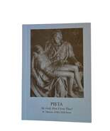The Pieta Prayer Booklet - The 15 Saint Bridget Prayers - $102.54 MXN