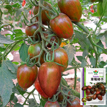 US Seller Garden Marvel 5 Bags 100 Seeds   Bag Of Strawberry Tomatoes New Fresh  - $19.98