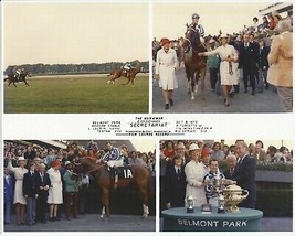 1973 - SECRETARIAT - 4 Photo Man O&#39; War Composite - 10&quot; x 8&quot; - £14.95 GBP