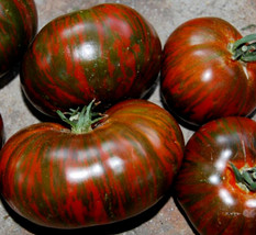 HS  50 Seeds Chocolate Stripe Tomatos HSirloom Tomato Juicy Tomatoe Vegetable Ga - £3.40 GBP