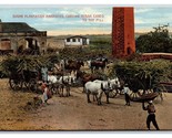Sugar Plantation Cart Cane to Mill Barbados WI UNP W L Johnson DB Postca... - $7.08