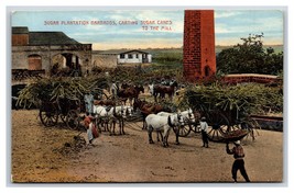 Sugar Plantation Cart Cane to Mill Barbados WI UNP W L Johnson DB Postcard P20 - £5.56 GBP