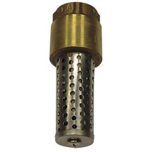 Campbell FIP Brass Spring Foot Valve - $61.56 CAD