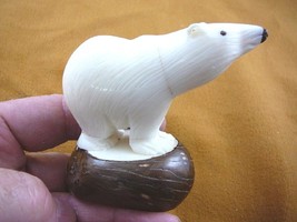 (TNE-BEAR-PO-286A) White Polar Bear Tagua Nut Figurine Carving Vegetable Bears - £24.04 GBP