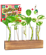 Plant Propagation Station, Plants Propagation Tubes, Gifts for Plant Lov... - $15.96