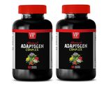 Eleutherococcus Senticosus - ADAPTOGEN COMPLEX - Amla Fruit 2 Bottles - $31.87