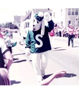 1984 Photograph Small Town Irish Themed Parade New England Dog Mascot Vt... - $29.99