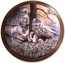 Owl Collector Plate Great Gray Owl Family 1st Issue Family Circles Bradford Exch - £18.27 GBP