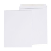 Gummed Catalog Envelopes 10&quot;L X 13&quot;H White 250/Box - $76.99